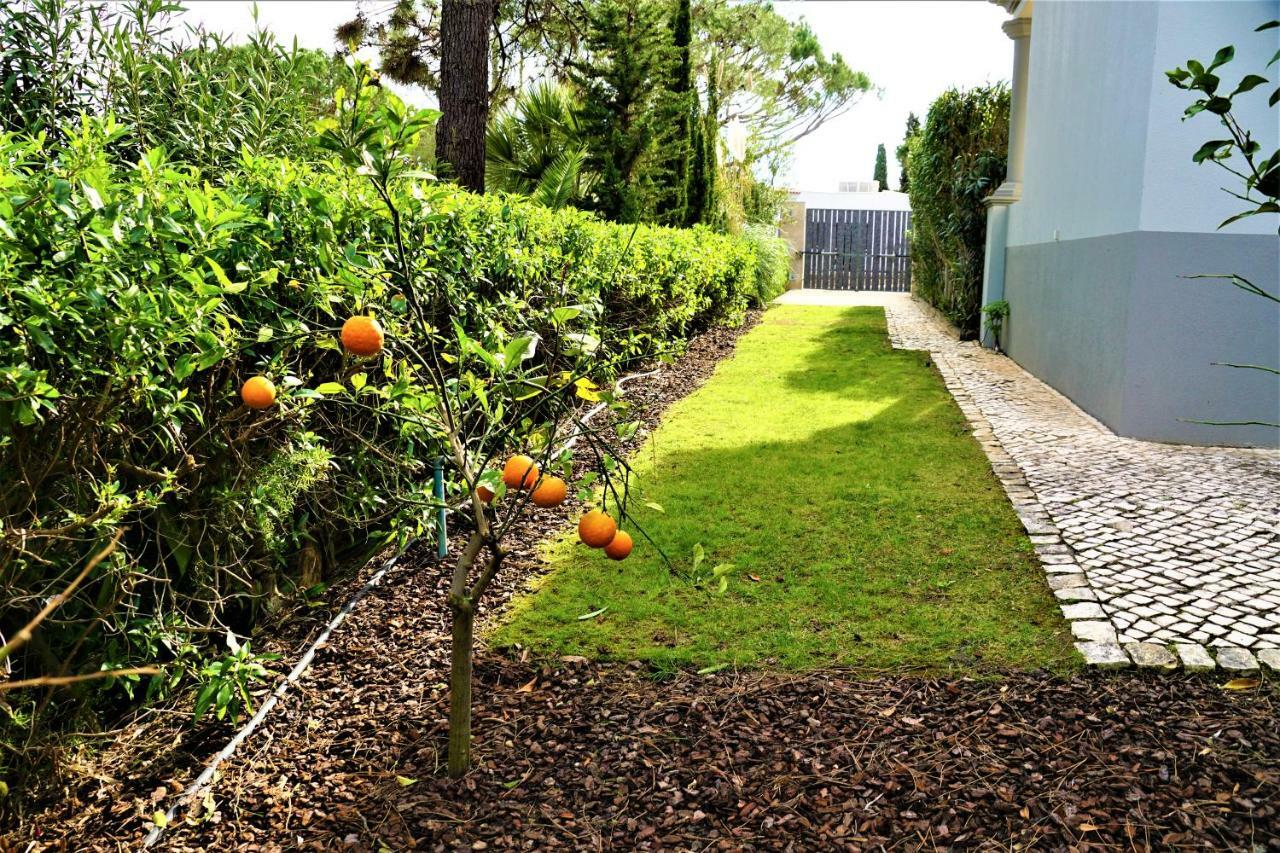 Charming Exceptional Golf Villa In Algarve فارو المظهر الخارجي الصورة
